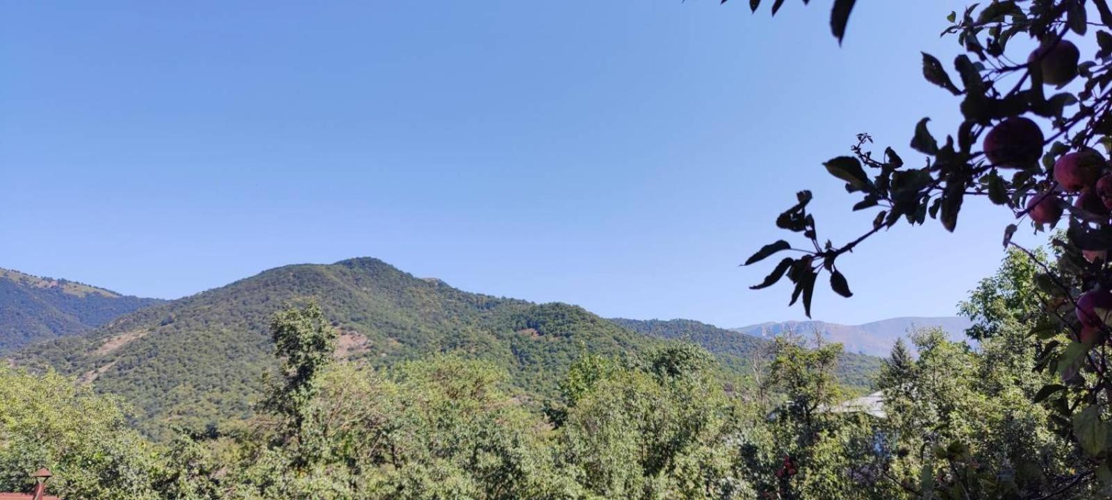 Sunny Lodge Dilijan Exterior photo
